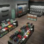FiveStar Roleplay 3